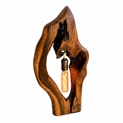Modern Driftwood Style Artistic Lamp with Hanging Edison Bulb