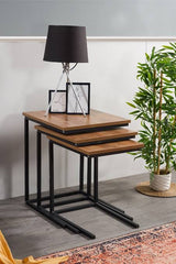 Premium Modern Nesting Coffee Table Set – Space-Saving Metal Frame & Wooden Top | Living Room Side Tables | Stylish Home Furniture